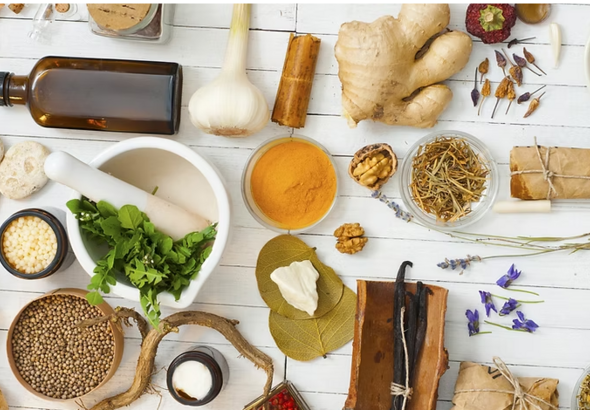 Atelier de naturopathie