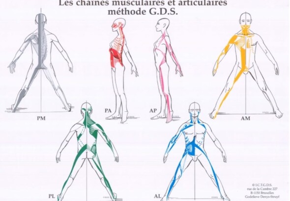 Méthode GDS – Chaînes musculaires et articulaires
