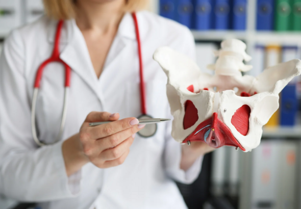 Education en santé pelvi périnéale féminine