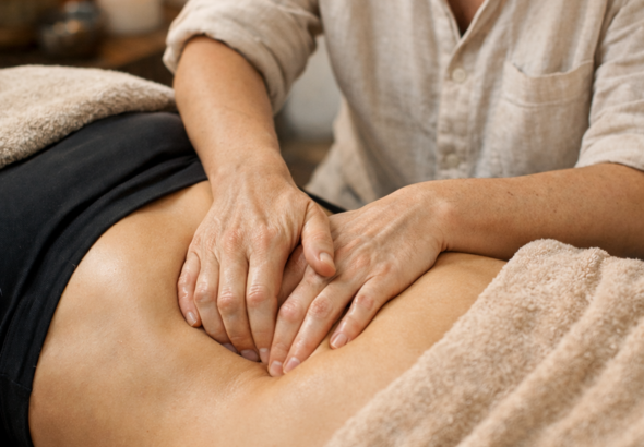 Thérapie Viscérale