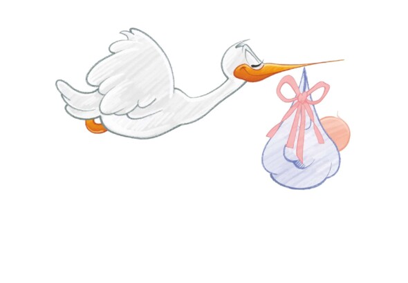 Rééducation en post-partum (périnéale et abdominale)