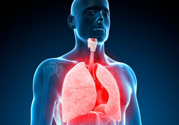 Kiné respiratoire