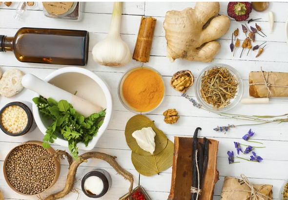 Atelier de naturopathie