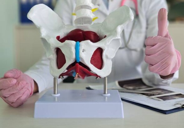 Essai / Pose de pessaire