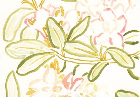 Consultations à domicile