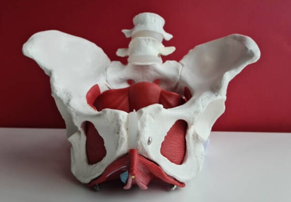 Prolapsus / Pessaires