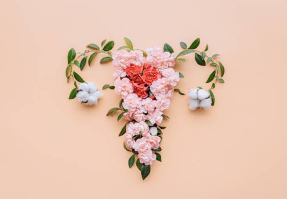 Douleurs Pelviennes et Périnéales